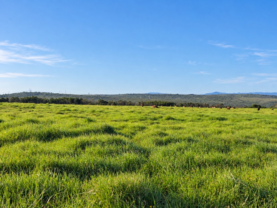 0 Bedroom Property for Sale in Kabeljauws Eastern Cape